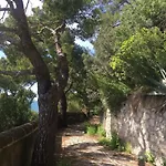 Guya * Капри