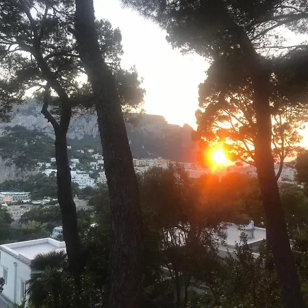 Guya * Capri