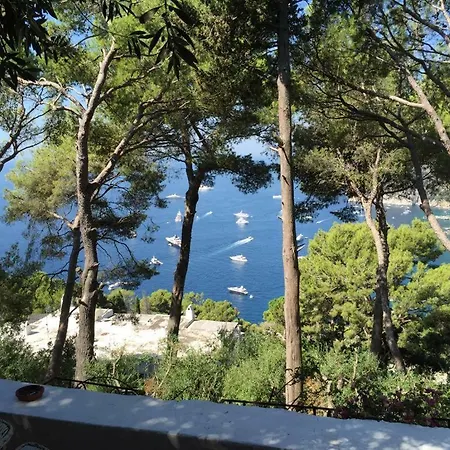 Guya * Capri