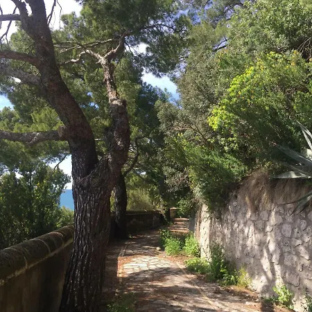 Guya * Κάπρι