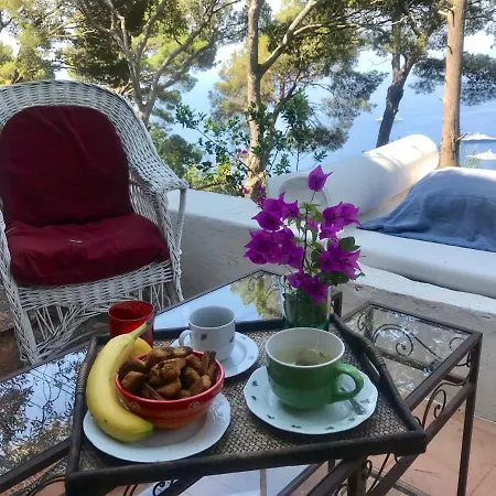 Guya Capri